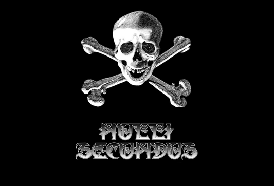 Nulli Secundus