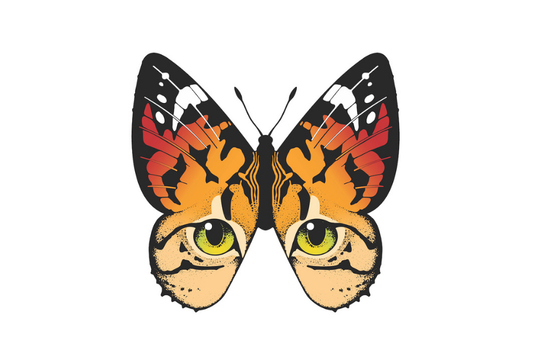 Butterfly Eyes Logo 1