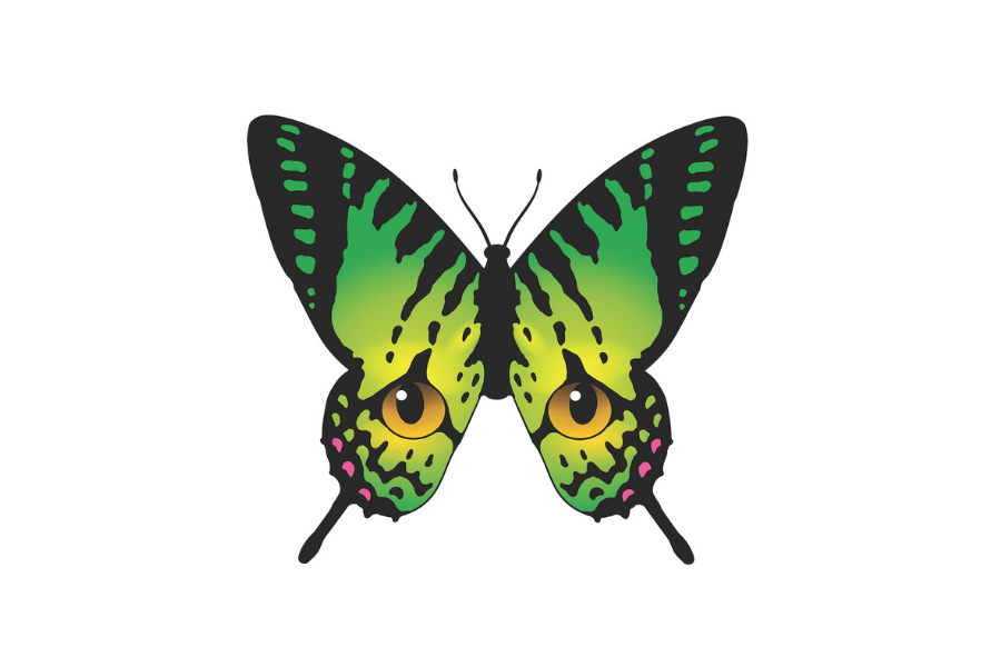 Butterfly Eyes Logo 3