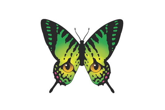 Butterfly Eyes Logo 3